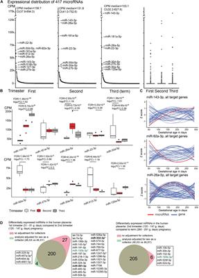 Coordinated Expressional Landscape of the Human Placental miRNome and Transcriptome